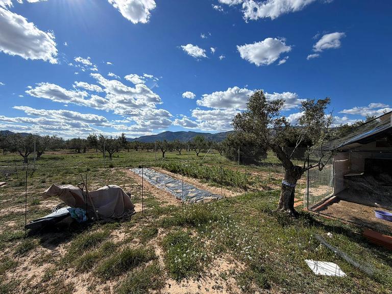 Property thumbnail 5