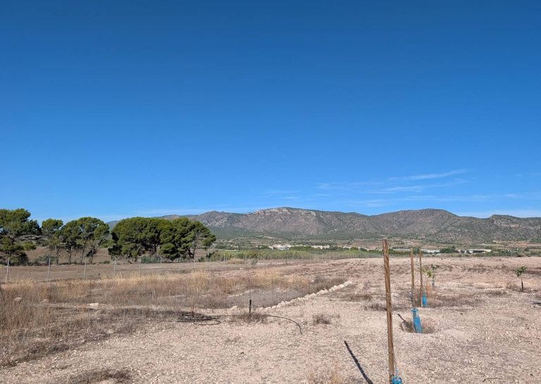 Property thumbnail 6