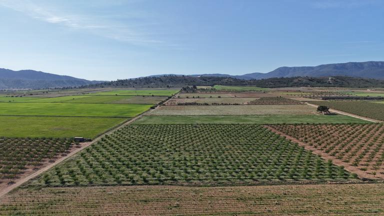 Property thumbnail 8