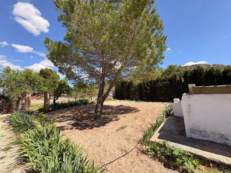 Property thumbnail 9