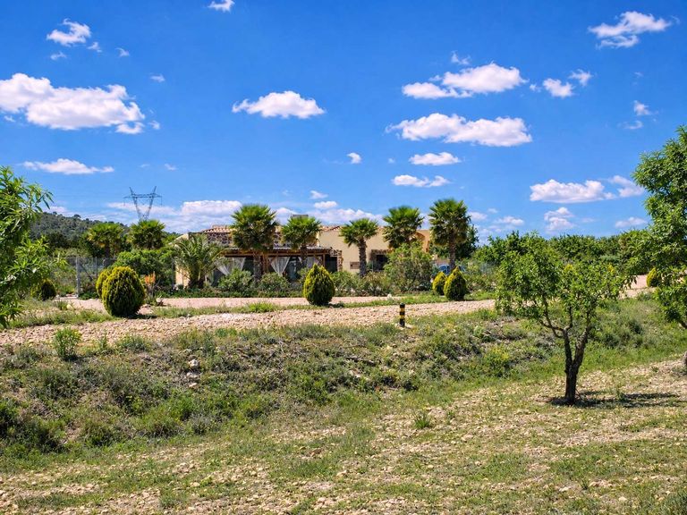 Property thumbnail 17