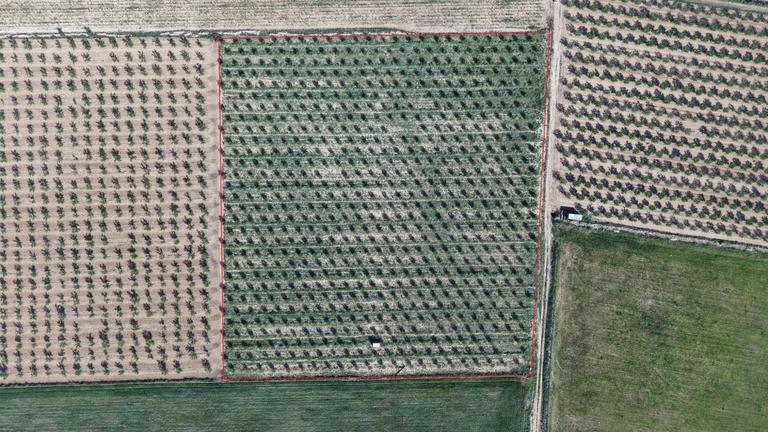 Property thumbnail 10