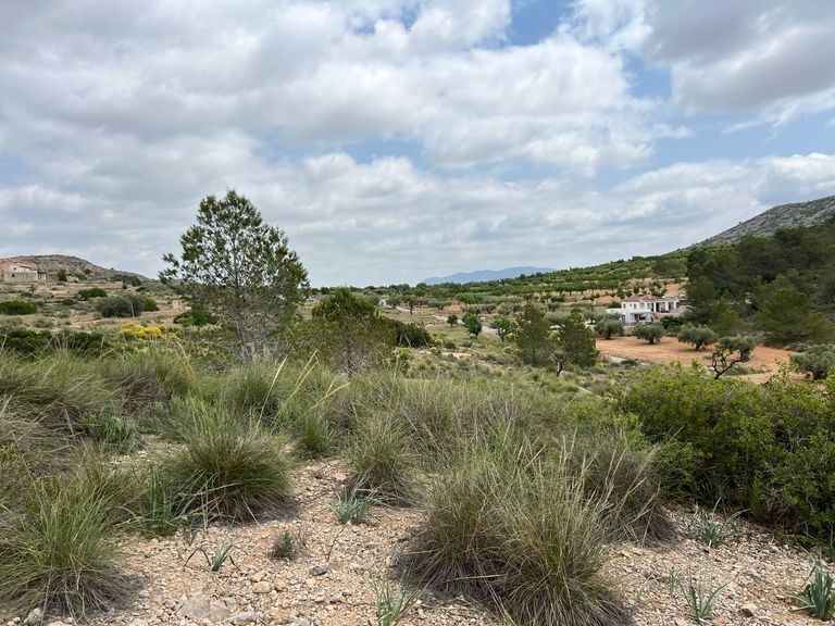 Property thumbnail 2