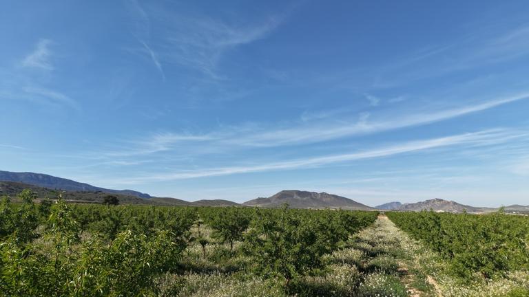 Property thumbnail 11