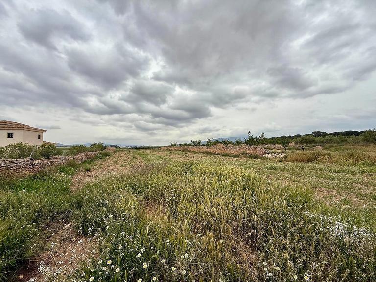 Property thumbnail 29