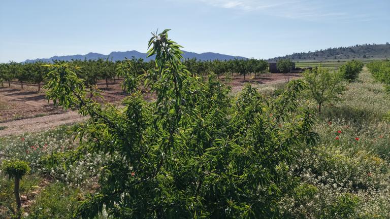 Property thumbnail 13