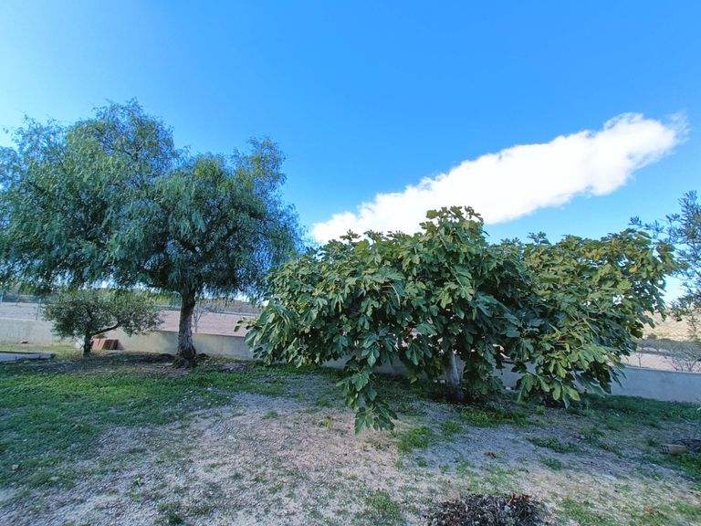 Property thumbnail 7