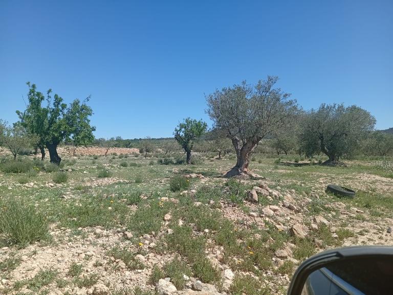 Property thumbnail 6