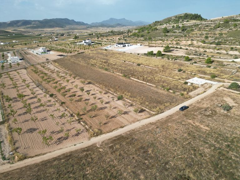 0 bedroom Land in Pinoso, Costa Blanca - Property IV784