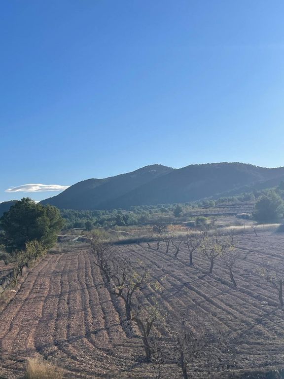 Property thumbnail 10
