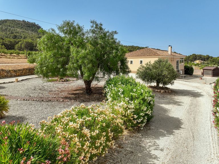 Property thumbnail 4