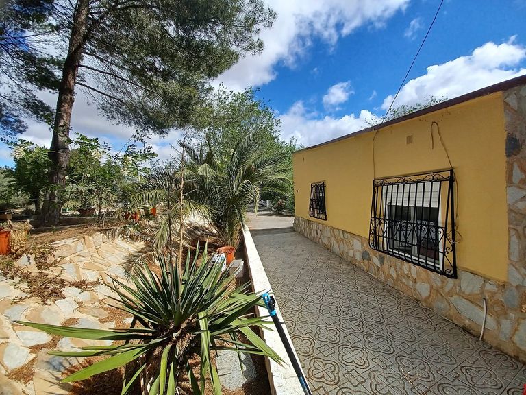 Property thumbnail 12