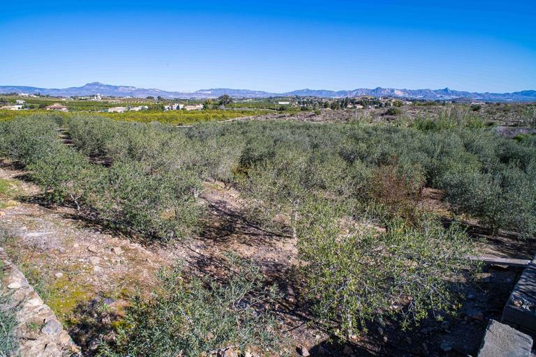 Property thumbnail 50