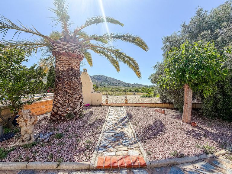 Property thumbnail 50