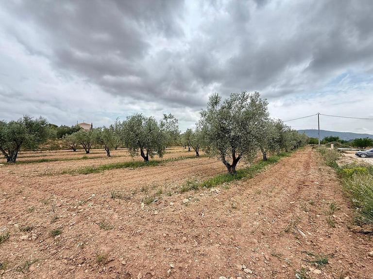 Property thumbnail 28