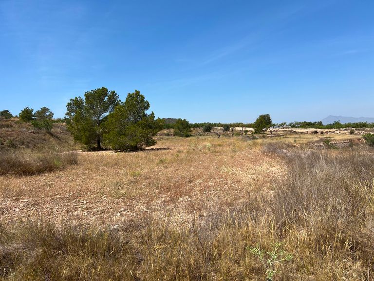 Property thumbnail 4