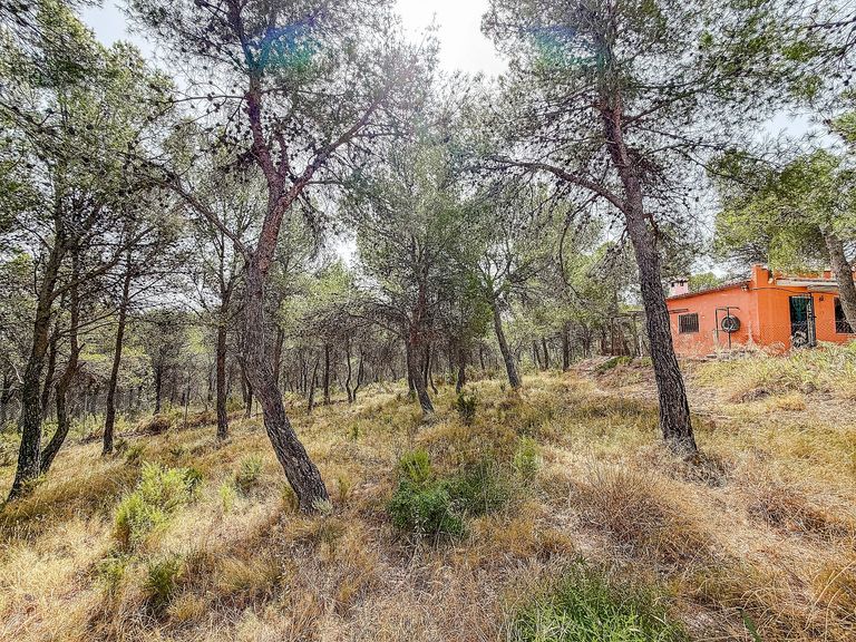 Property thumbnail 23