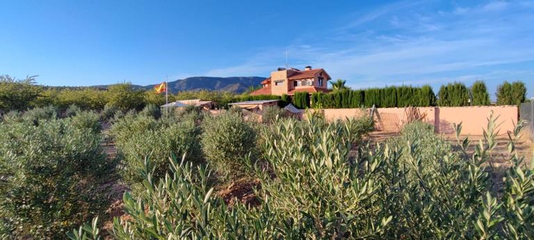 Property thumbnail 24