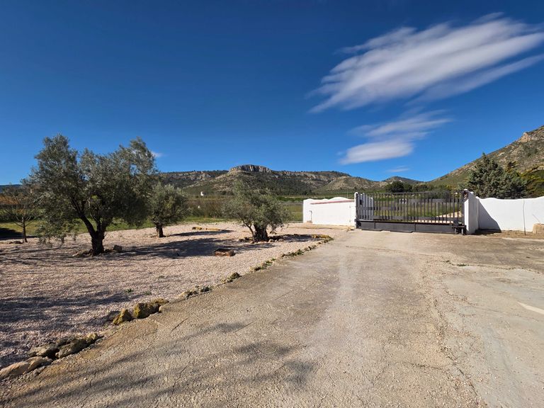 Property thumbnail 19