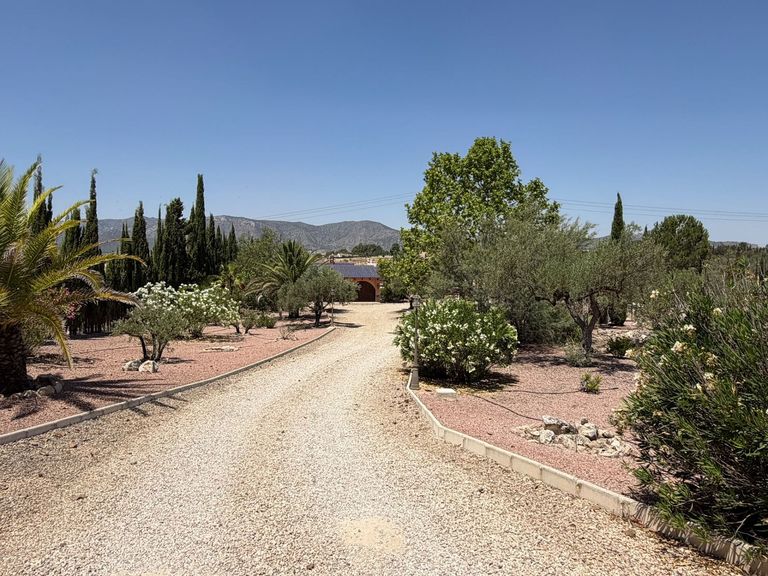Property thumbnail 7