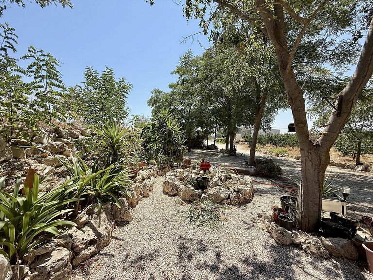 Property thumbnail 5