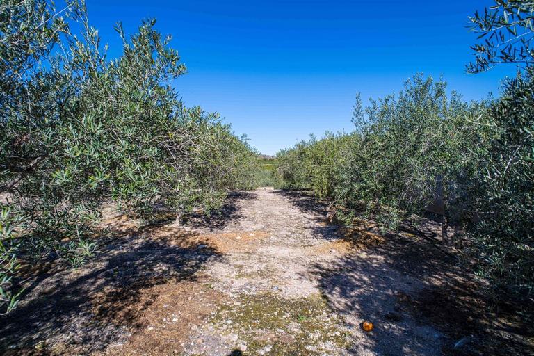 Property thumbnail 49