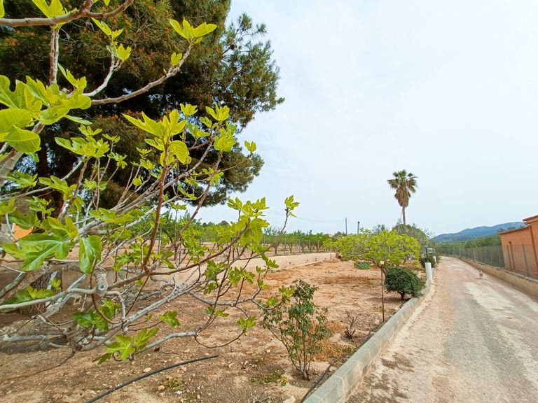 Property thumbnail 6