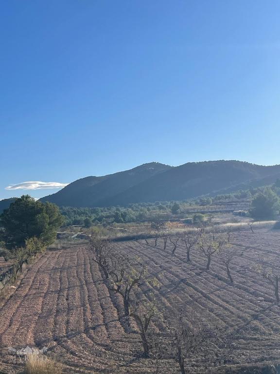 Property thumbnail 41