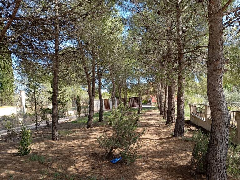 Property thumbnail 26