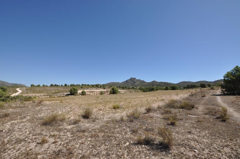Property thumbnail 1
