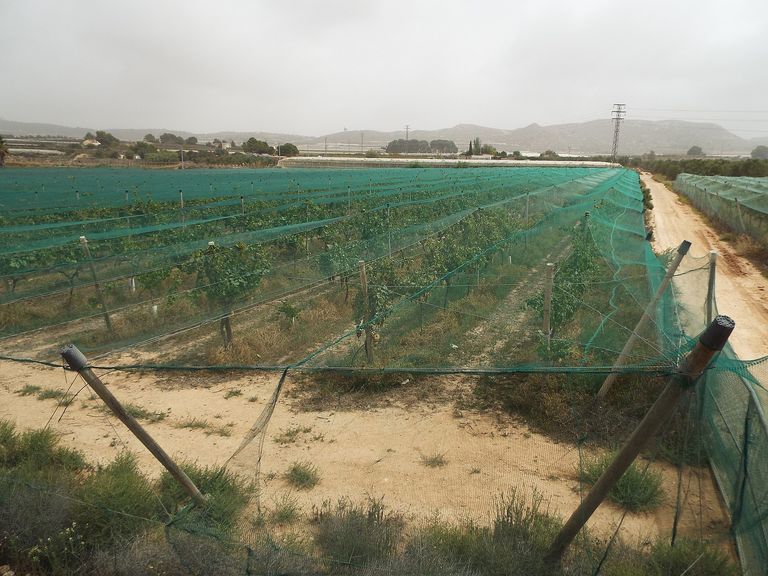 0 bedroom Land in Monforte Del Cid, Costa Blanca - Property IV032