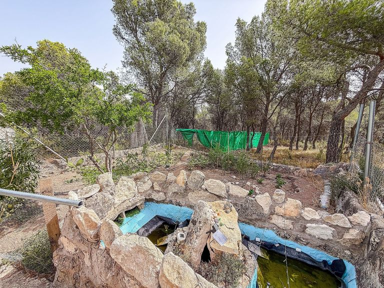 Property thumbnail 21