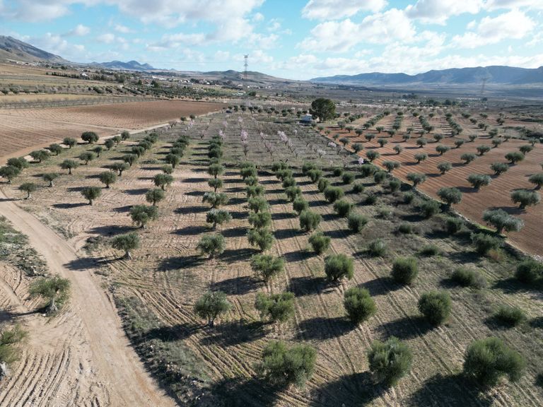 0 bedroom Land in La Alqueria, Costa Blanca - Property IV545