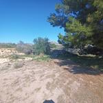 Property thumbnail 29