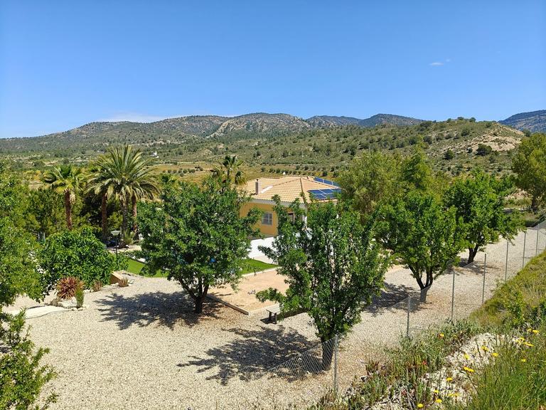 Property thumbnail 7