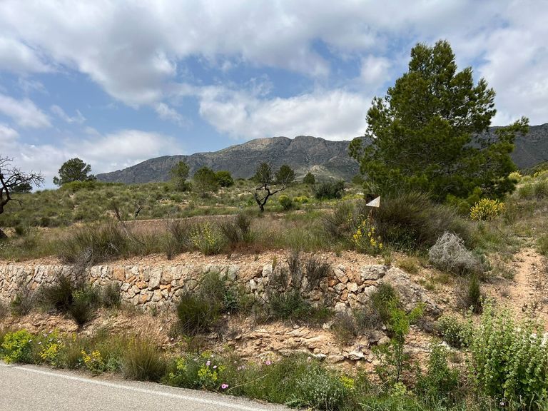 Property thumbnail 7