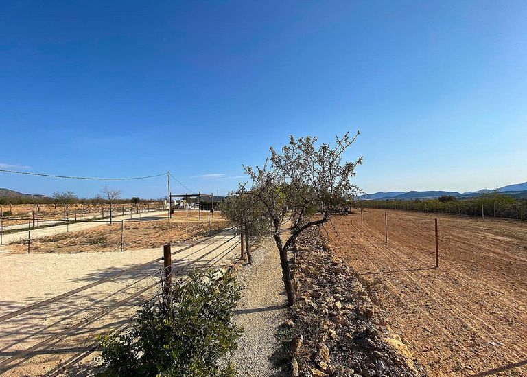 Property thumbnail 6