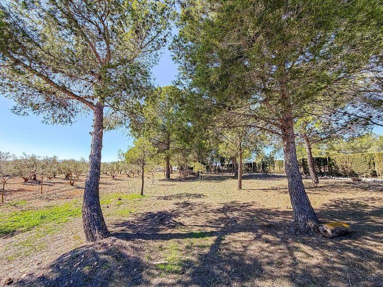 Property thumbnail 44