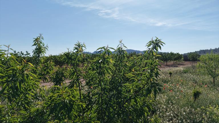 Property thumbnail 16