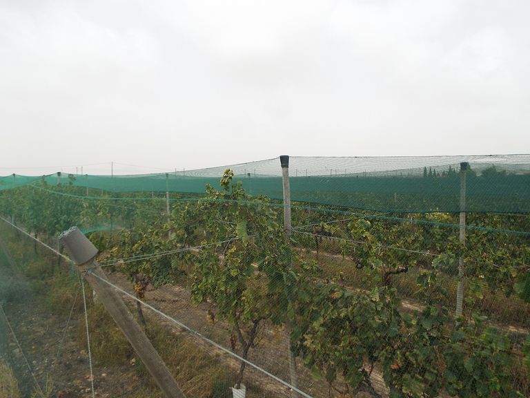 Property thumbnail 11