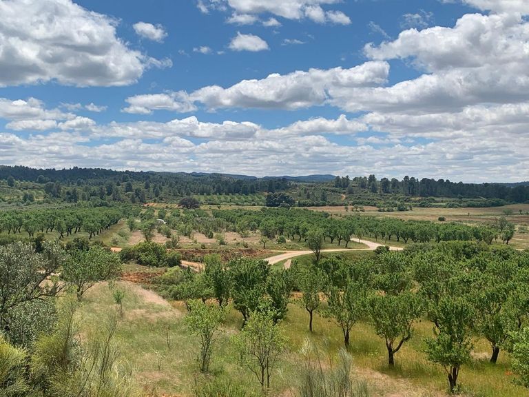 0 bedroom Land in Ayora, Costa Blanca - Property IV4198