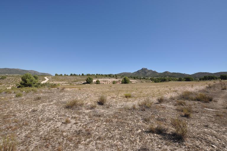 Property thumbnail 3
