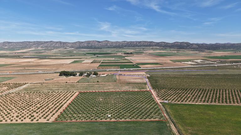 Property thumbnail 4