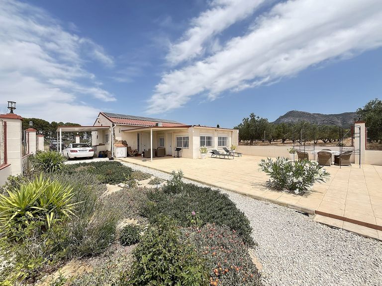 Property thumbnail 39