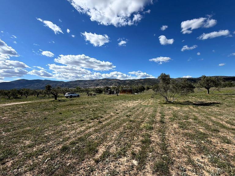 Property thumbnail 4