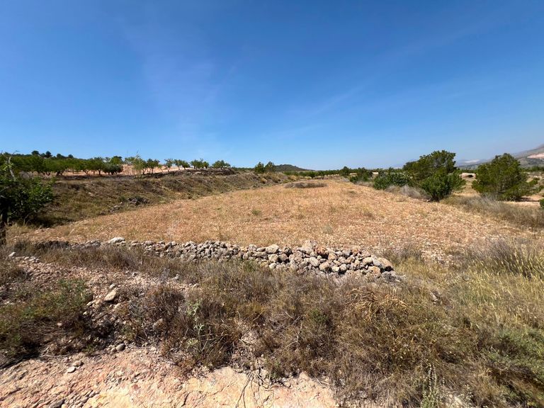 Property thumbnail 7