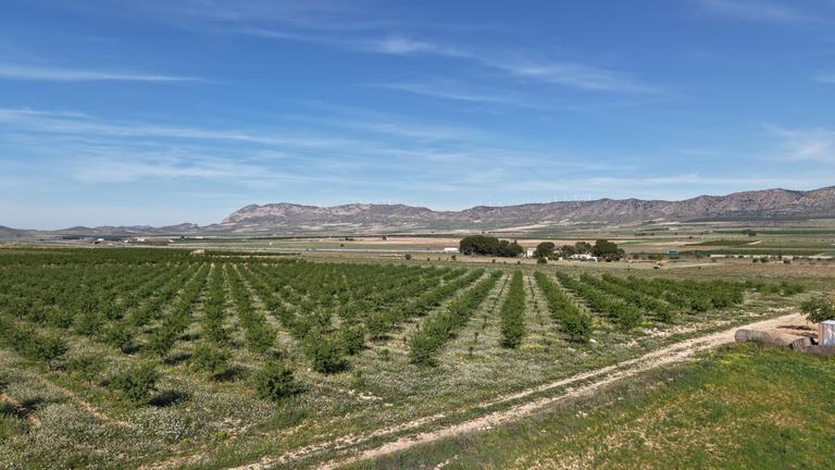 Property thumbnail 1