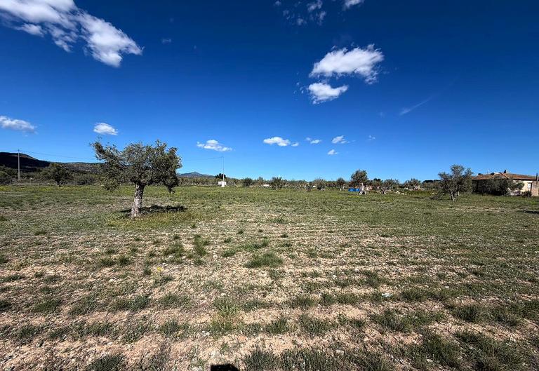 Property thumbnail 8