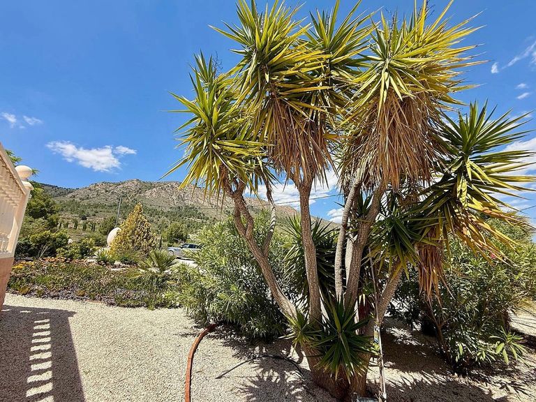Property thumbnail 8
