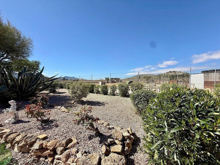 Property thumbnail 3